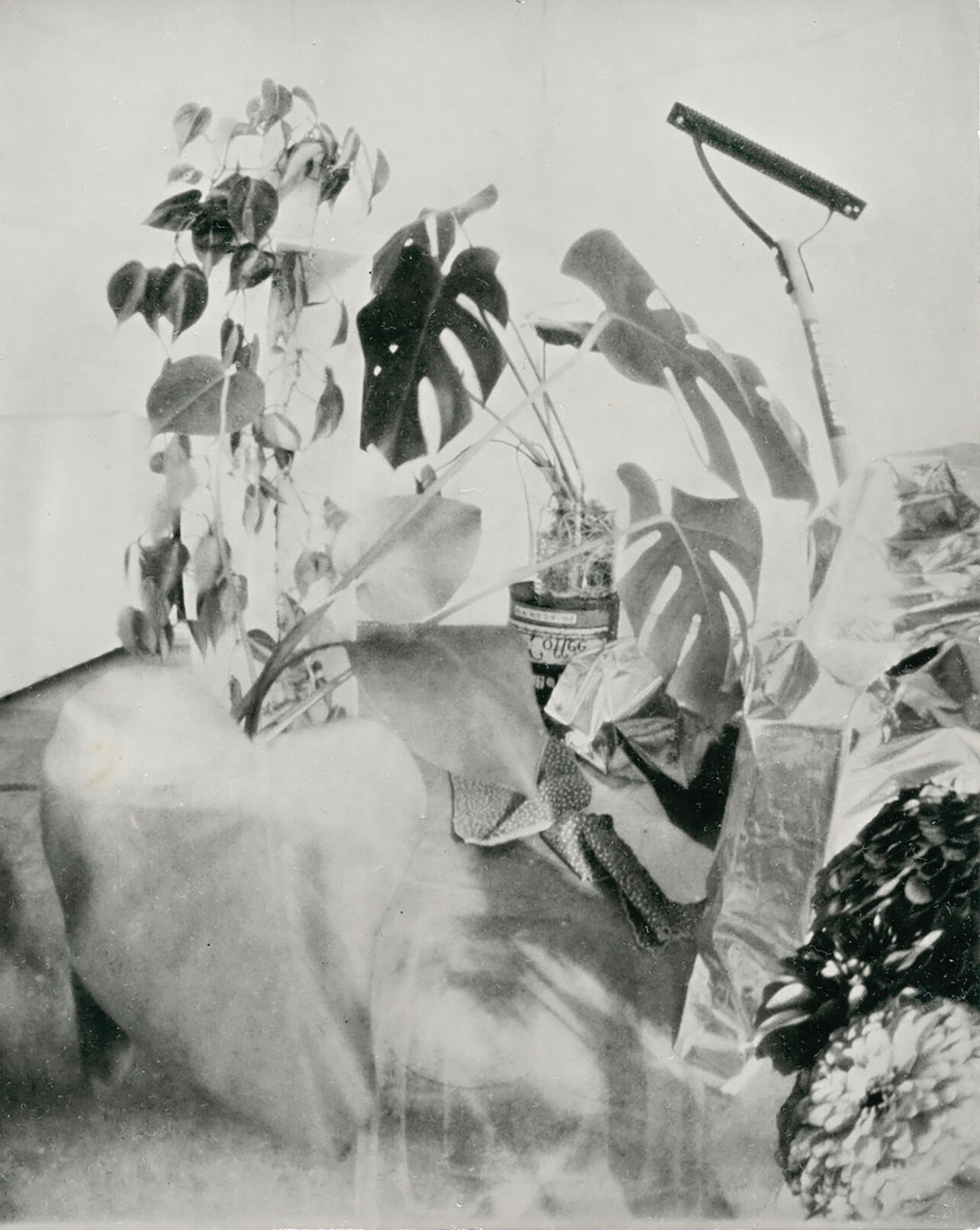 Hackett.-MaryAddison_Direct-positive-silver-gelatin-print.jpg